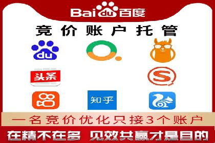 专业SEM服务公司案例分析报告
